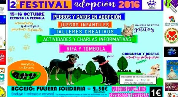 2-festival-adopcion-castellon