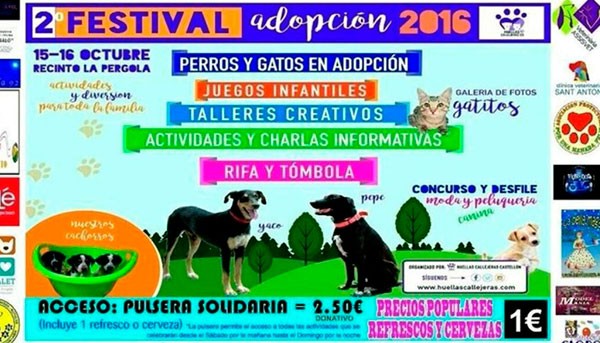 2-festival-adopcion-castellon